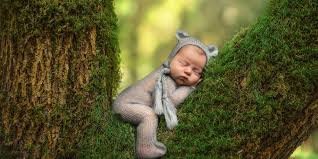 gallbladderliver Why Us Baby dreaming to ...