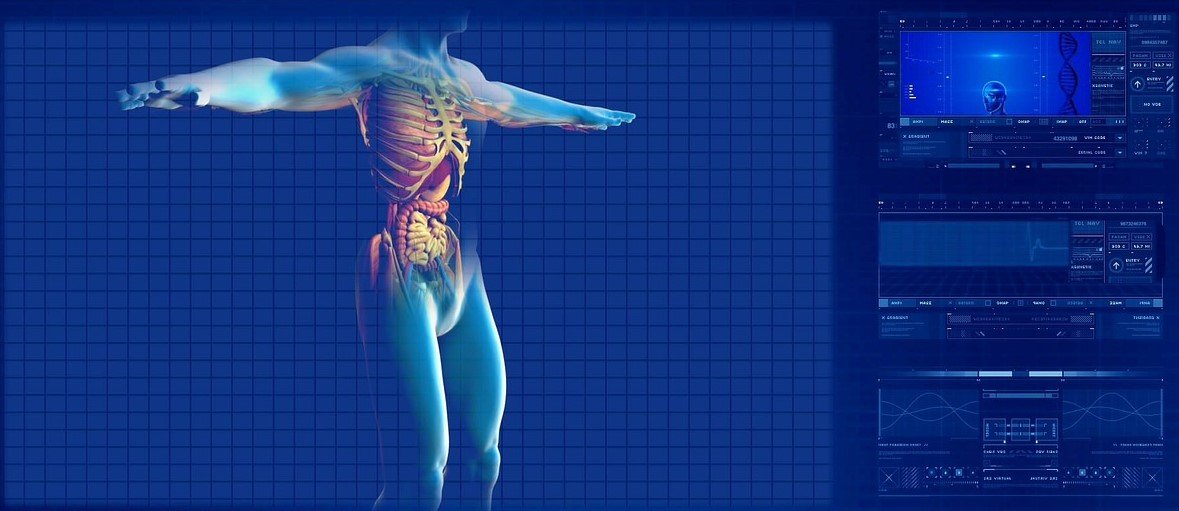 gallbladderliver.com home human digestive system