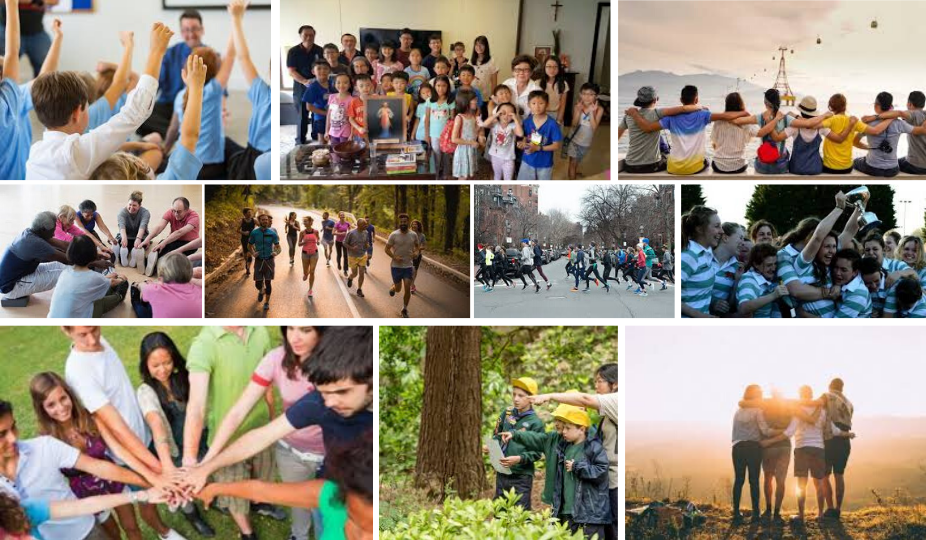 gallbladderliver social groups