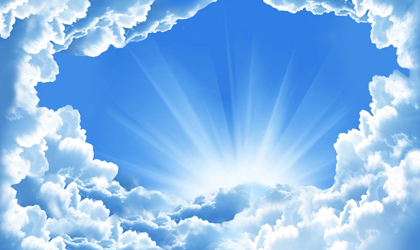 gallbladderliver.com Chronology 10. Creation