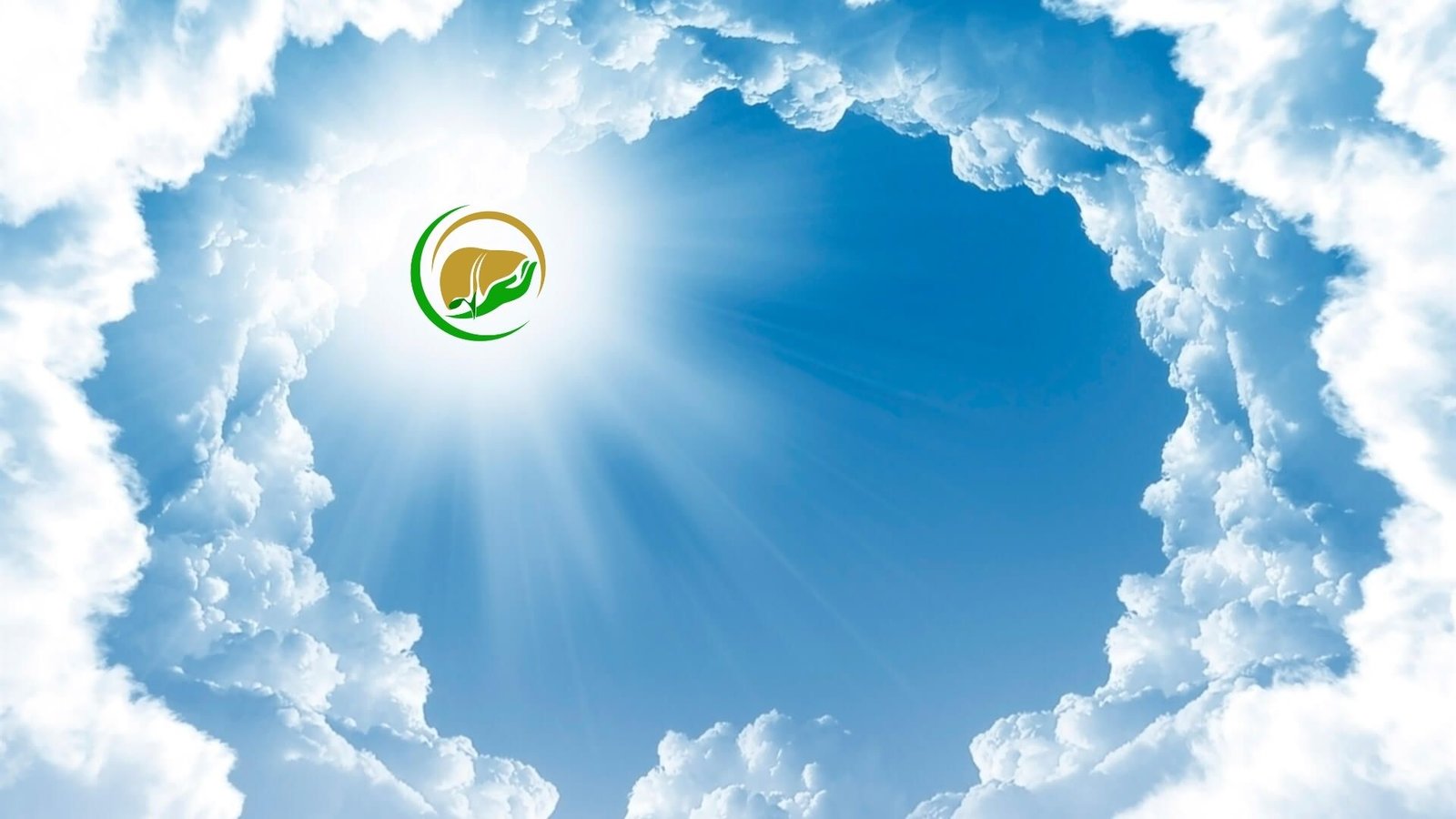 gallbladderliver.com Chronology 12. Creation & ...