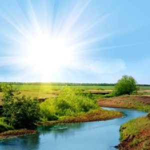 gallbladderliver Chronology Woodhull beautiful_natural