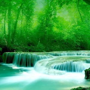 gallbladderliver Chronology Woodhull nature water