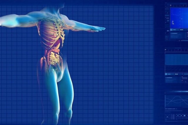 gallbladderliver.com home human digestive system